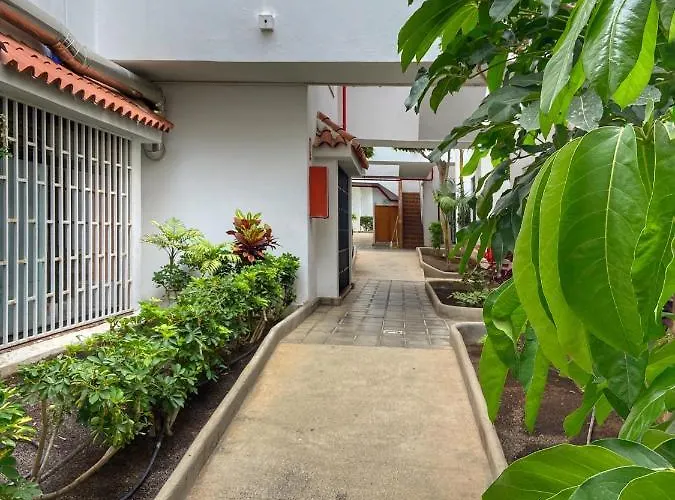 1 Bed Cristianos Near The Bus Station * アロナ